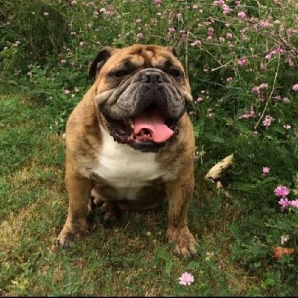 Meet your Posher, Cathy